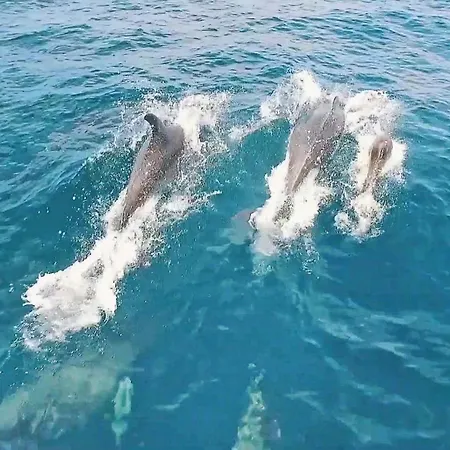 Algharif By Algarve Vacation 别墅 *