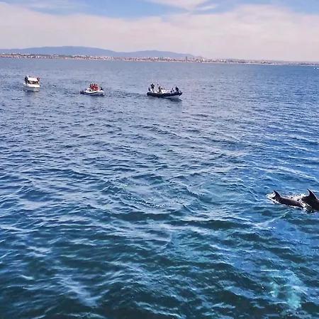 Algharif By Algarve Vacation Вілла