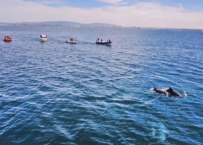 Algharif By Algarve Vacation Villa